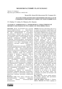 Анатомо-морфологические и биохимические показатели разновозрастной хвои Pinus sibirica Du Tour (Средний Урал)