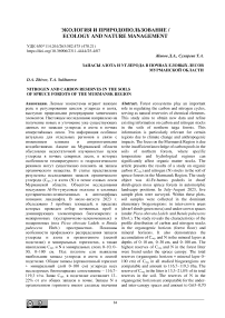 Запасы азота и углерода в почвах еловых лесов Мурманской области