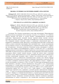 Пыльца сосновых как потенциальный аэроаллерген