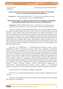 Some Types of Sucking Pests of Stone Fruit Trees in the Shaki-Zakatala Region and their Entomophage