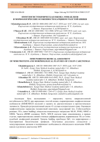 Иммуногистохимическая оценка MMR-белков и морфологические особенности карцином толстой кишки
