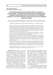 Фотодинамическое воздействие лазерного излучения с длиной волны 450 нм в комбинации с рибофлавин-мононуклеотидом на ионный гомеостаз и клеточную гибель клеток меланомы B16F10 in vitro