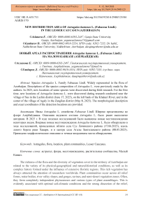 New Distribution Area of Astragalus hamosus L. (Fabaceae Lindl.) in the Lesser Caucasus (Azerbaijan)