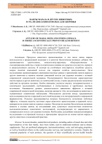 Панты марала и других животных: есть ли доказанная польза для здоровья