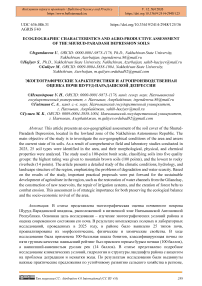 Ecogeographic Characteristics and Agro-productive Assessment of the Shurud-Paradash Depression Soils