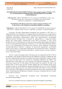 Паразитофауна безоарового козла (Capra aegagrus aegagrus Erxleben, 1777) на территории Нахчыванской Автономной Республики (Азербайджан)