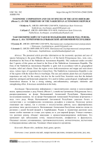 Taxonomic composition and use of species of the genus Rhubarb (Rheum L.) in the territory of the Nakhchivan Autonomous Republic
