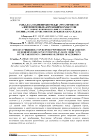 Результаты гибридизации между сортами озимой мягкой пшеницы различного происхождения в условиях континентального климата Нахчыванской Автономной Республики Азербайджана