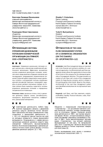Оптимизация системы управления денежными потоками коммерческой организации (на примере ООО «Спортмастер»)