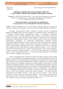 Видовое разнообразие и патогенные свойства аллергенных грибов, обитающих в школьных зданиях