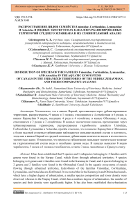 Распространение видов семейств Unionidae, Corbiculidae, Lymnaeidae и Astacidae в водных экосистемах каналов урбанизированных территорий среднего Зеравшана и их сравнительный анализ