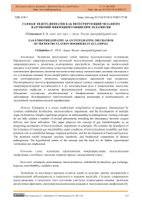 Газовая эндотелиопатия как интегрирующий механизм нарушений микроциркуляции при эклампсии