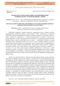 Вредители сортов и форм миндаля, выращиваемых в районе Шахбуз, и меры по борьбе с ними