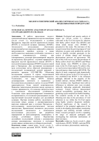 Эколого-генетический анализ сортов Secale cereale L., возделываемых в предуралье
