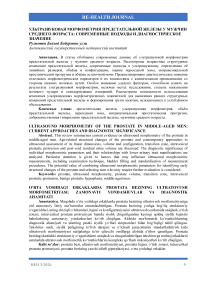 Ультразвуковая морфометрия предстательной железы у мужчин среднего возраста: современные подходы и диагностическое значение