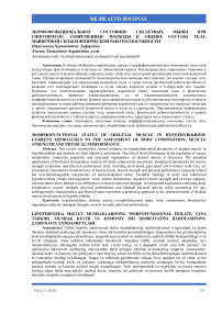 Морфофункциональное состояние скелетных мышц при гипотиреозе: современные подходы к оценке состава тела, мышечной силы и физической работоспособности