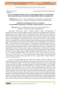 Сорта и формы грецкого ореха, выращиваемые на территории Ордубадской области и их агроэкологические особенности