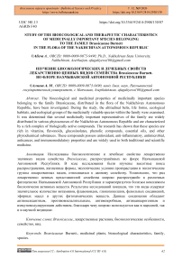 Study of the Bioecological and Therapeutic Characteristics of Medicinally Important Species belonging to the Family Brassicaceae Burnett in the Flora of the Nakhchivan Autonomous Republic