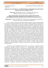 Biological, Ecological, and Physiological Determinants of Potato (Solanum tuberosum L.) Productivity