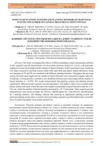Effects of Planting Systems and Planting Methods on Main Stem Length and Number of Lateral Branches in Sweet Potato
