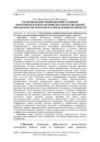 Распознавание изображений разливов нефтепродуктов на основе кратномасштабной обработки гистограмм распределения их яркости