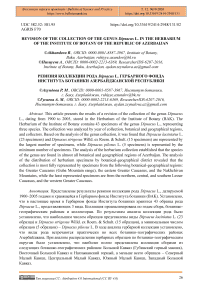 Revision of the Collection of the Genus Dipsacus L. of the Herbarium Fund of the Institute of Botany of the Republic of Azerbaijan