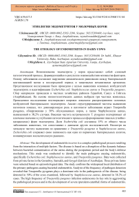 Этиология эндометритов у молочных коров