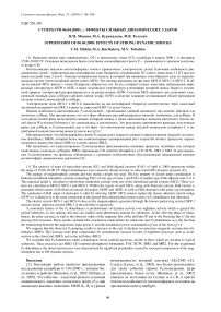 Супербуря 06.04.2000 г.: эффекты сильных динамических ударов