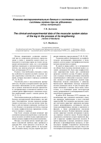 Клинико-экспериментальные данные о состоянии мышечной системы голени при ее удлинении (обзор литературы)