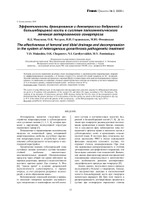 Эффективность дренирования и декомпрессии бедренной и большеберцовой кости в системе патогенетического лечения гетерогенного гонартроза