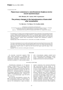 Первичные изменения в гемодинамике диафиза кости после туннелизации