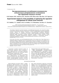 Экспериментальное исследование возможности оптимизации репаративного остеогенеза при переломах длинных костей