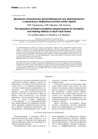 Динамика показателей кровообращения при формировании и заживлении дефектов костей свода черепа