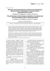 Феномен антиэнтропийного ускорения восстановления функционально-структурных свойств тканей травмированной голени