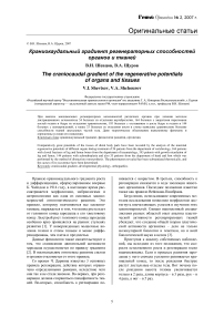 Краниокаудальный градиент регенераторных способностей органов и тканей