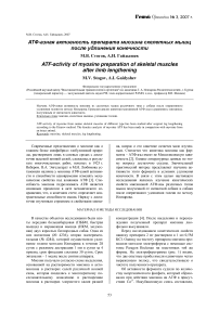 АТФ-азная активность препарата миозина скелетных мышц после удлинения конечности