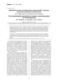 Методологические особенности комплексного описания мышц при удлинении конечностей