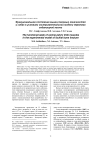 Функциональное состояние мышц тазовых конечностей у собак в условиях экспериментальной модели перелома седалищной кости