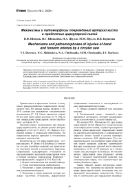 Механизмы и патоморфозы повреждений артерий кисти и предплечья циркулярной пилой