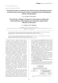 Суставной хрящ: изменения при чрескостном дистракционном остеосинтезе, физиологическая и репаративная регенерация (обзор литературы)