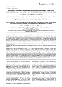 Взаимосвязь морфологических характеристик фибриллярной организации костного матрикса и его механических свойств с позиций теории слабого звена