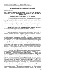 Восстановление фертильности регенерантов тритикале (Triticosekale wittmack), полученных методом искусственного андрогенеза