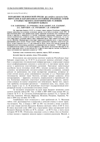 Поражение медоносной пчелы Apis melifera caucasica Gorb. вирусами и паразитами и состояние пчелиных семей в разных эколого-географических условиях Большого Кавказа