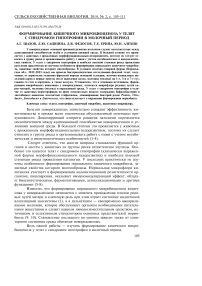 Формирование кишечного микробиоценоза у телят с синдромом гипотрофии в молочный период