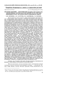 Штаммы бактерий - антагонистов Pyrenophora tritici - repentis in vitro, эффективные против желтой пятнистости листьев пшеницы в фазу всходов в вегетационном опыте