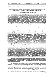О внешнем воздействии g-излучения на активность аденилатциклазы в клетках крови овец