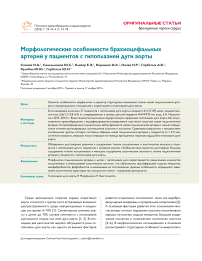 Морфологические особенности брахиоцефальных артерий у пациентов с гипоплазией дуги аорты