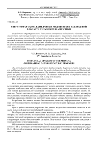 Структурная схема базы данных медицинских наблюдений в области пульсовой диагностики