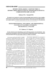 Профессиональное самочувствие и профессиональная культура преподавателей вуза: социологический анализ