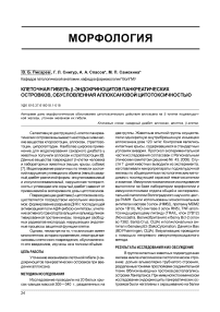 Клеточная гибель Р-эндокриноцитов панкреатических островков, обусловленная аллоксановой цитотоксичностью